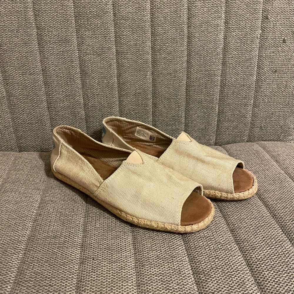 TOMS Canvas shoe